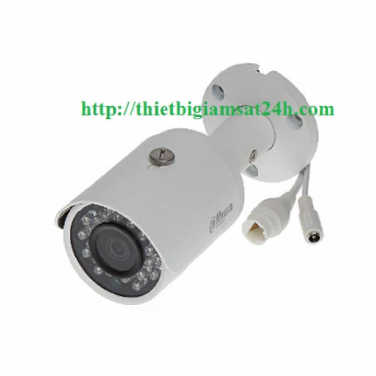 Camera IP 1.0MP DAHUA DS2130FIP